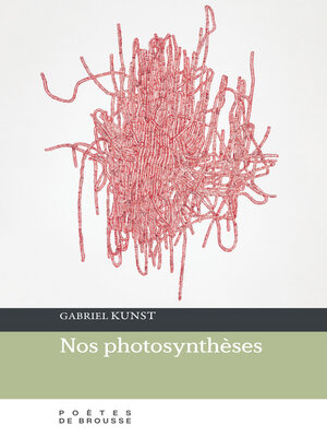 cover image of Nos photosynthèses